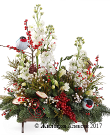 ���������� ���������� � ���� � �����