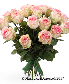 ����� 21 ���� ��������