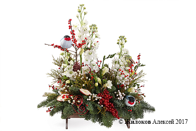 ���������� ���������� � ���� � �����