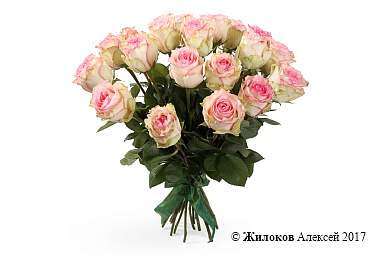 ����� 21 ���� ��������