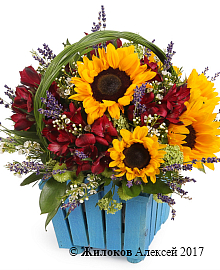 ���������� ��������� ������ � �����