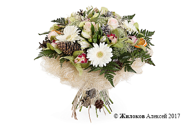 ����� ����� ������� ����