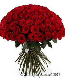 ����� 101 ���� ������