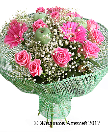 ����� ������������ �������