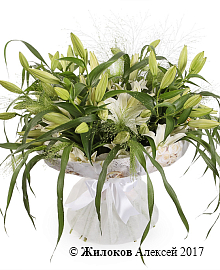 ����� � ������� ��������