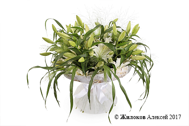 ����� � ������� ��������