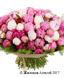 ����� �� ������ ��������