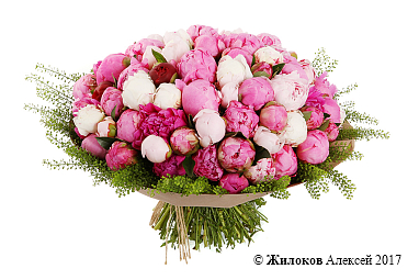 ����� �� ������ ��������