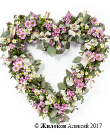 ����� �� ������� ������