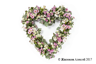 ����� �� ������� ������