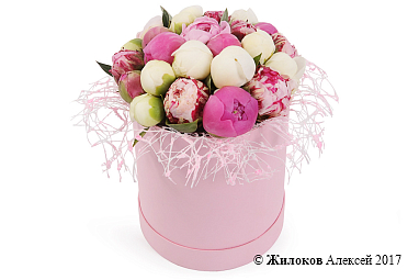 ����� �� ������ ����� � ������� �������