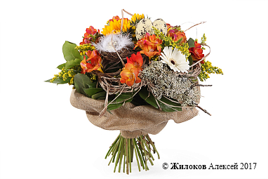 ����� �������� ���������