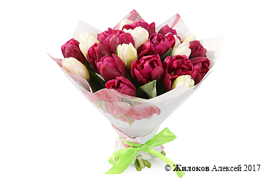 ����� 25 ����������� ���������, ��������� ����