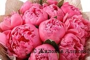 Букет из пионов Эйфория