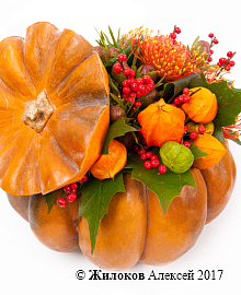 ���������� ���� � ������ � �����