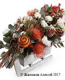 ���������� ���������� ���� � �����