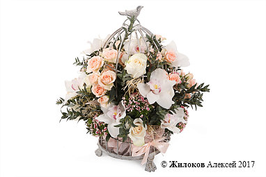 ����� �������� ��������