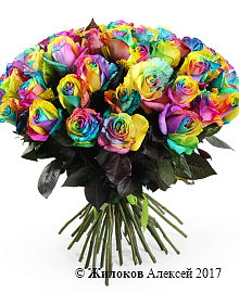 ����� 51 �������� ����