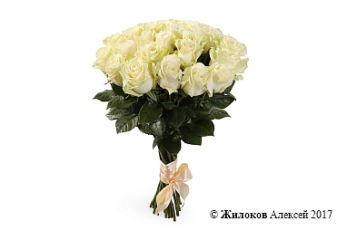 ����� 21 ���� ��������