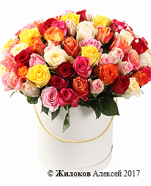 ����� ����������� ������� (101 ����) � ������� �������