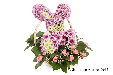 ���������� �� ��������� �����