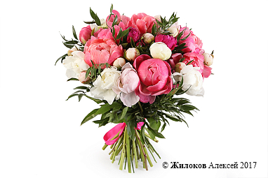 ����� � ������� ��������� ���������