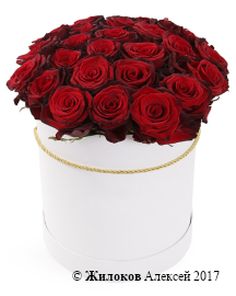 ����� �� 25 ������� ��� ��� ����� � ������� �������