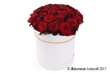 ����� �� 25 ������� ��� ��� ����� � ������� �������