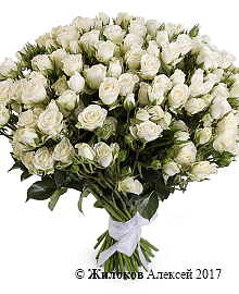 ����� 51 �������� ���� ���������