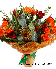 ����� ������� � ����