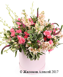 ����� �������� ���� � ������� �������