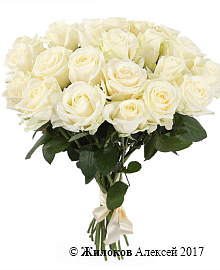 ����� 21 ���� ������� 60/70 ��