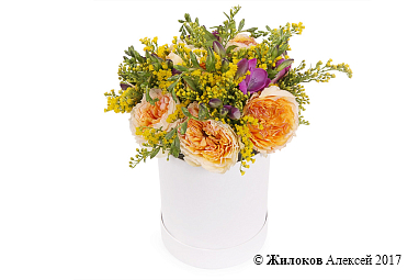 ����� ������������ �������� � ������� �������