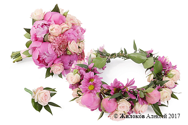 ��������� �������� ������