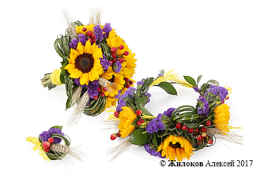 ��������� �������� ������