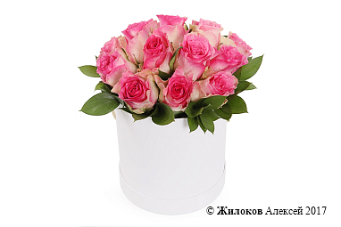 ����� �������� ������ � ������� �������