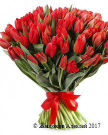 Букет 101 королевский тюльпан, красные