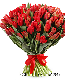 ����� 101 ����������� �������, �������