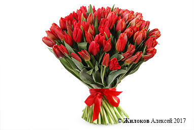 ����� 101 ����������� �������, �������