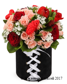 ����� �������� ������ � ������� �������