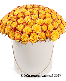 ����� 101 ���� ��� ����� � ������� �������