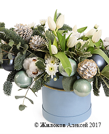 ����� ����� ���� � ������� �������