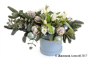 ����� ����� ���� � ������� �������