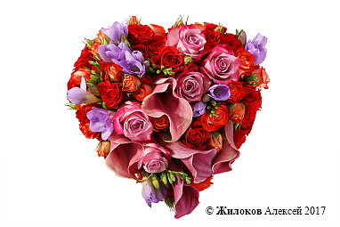 ����� ������� ������ �����