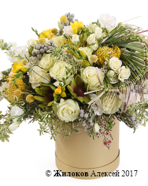 ����� ������� � ������� � ������� �������