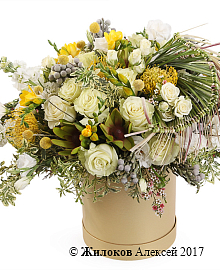 ����� ������� � ������� � ������� �������