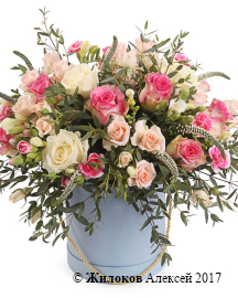 ����� �������� �������� � ������� �������