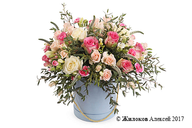 ����� �������� �������� � ������� �������