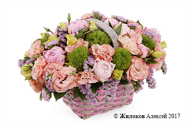 ����� ������ ����������� � �������