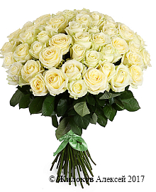 ����� 51 ���� ������� 50/60 ��